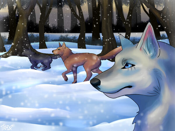 for scarletwolf